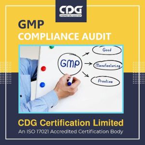 GMP Certification in Pune