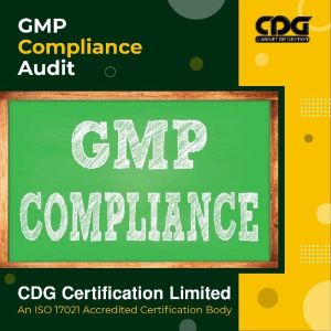 GMP Certification in Chennai