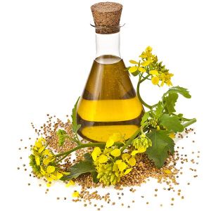 Rapeseed /Kachi Ghani Mustard Oil