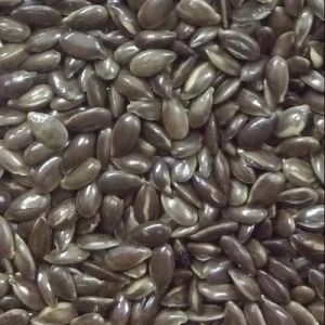 Roasted Flax Seed