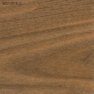 WD12019-C Wood Rustic Series Vitrified Tile