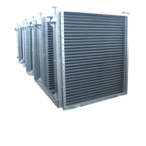 Food Heat Exchanger