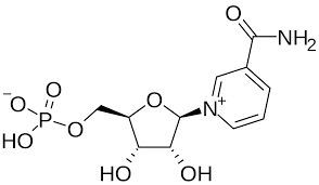 NMN（BETA-NICOTINAMIDE MONONUCLEOTIDE)