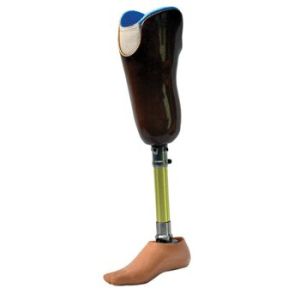 BELOW KNEE ARTIFICIAL LIMBS