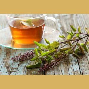 tulsi green tea herbal tea