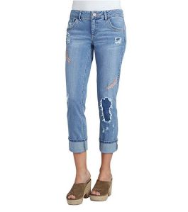 Democracy Feather Embroidered Crop Jeans