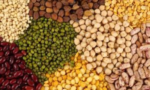 indian pulses