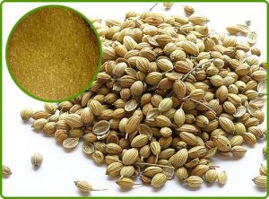 coriander powder