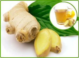 GINGER FLAVOUR EXTRACT