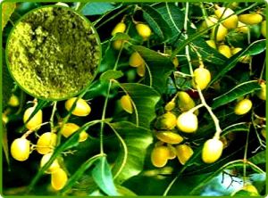 Neem Extract