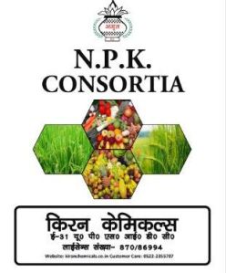 Npk Consortia Bacteria