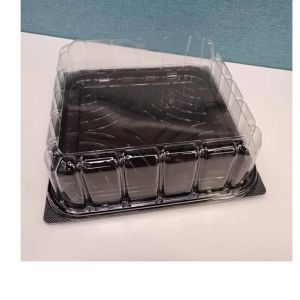 PET Cake Container, Size : 8X8 Inch (LXW)