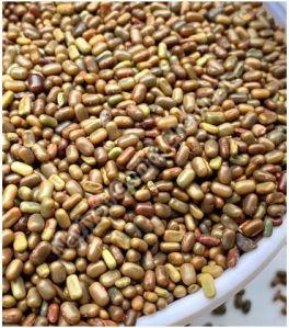 Sesbania Gum Seeds