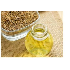 Fennel Seed Oil