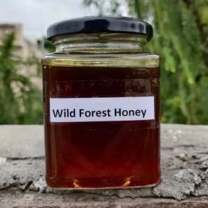 Natural Wild Forest Honey