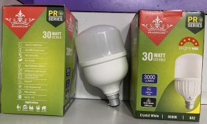 30 Watt led bulb