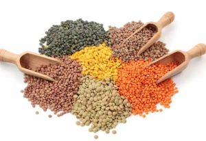 Red Split Lentils