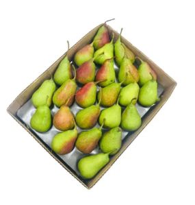 celina pears