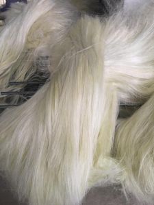 Wholesale Sisal Fiber for Gypsum /Gypsum Hair for sale in bulk / Textile Sisal kenya Sisal fiber for
