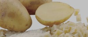 Potato Granules