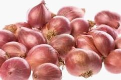 fresh onion