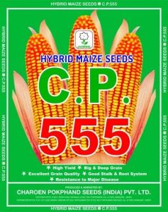 C.P. 555 Hybrid Maize Seeds
