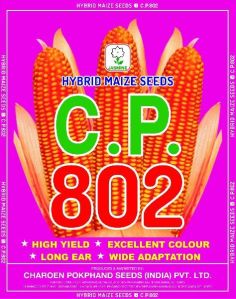 C.P. 802 Hybrid Maize Seeds