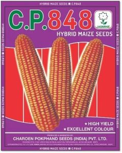 C.P. 848 Hybrid Maize Seeds