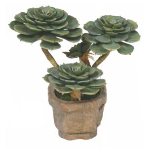 Artificial Succulent Lotus Bonsai Plant, Length : 0-2 Ft, 2-5 Ft