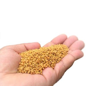 fenugreek seeds