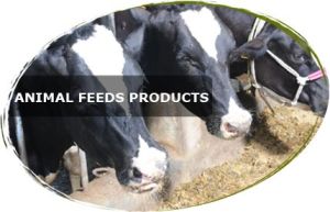 Animal Feeds Products