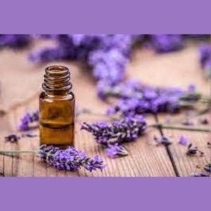 Lavender Oil