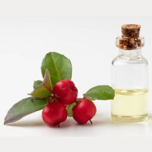 Wintergreen Oil