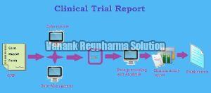Clinical Trial Report Preparation Services