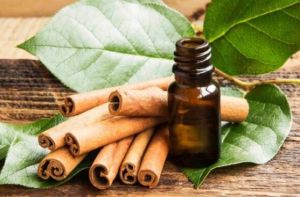 Cinnamon Leaf Oil