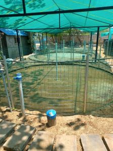biofloc fish farming tank