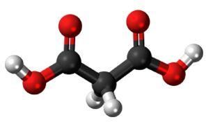 Catalysts and Absorbents