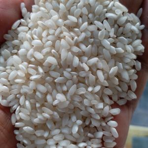 CR 1009 Rice
