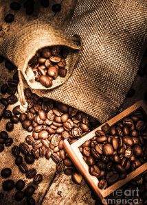 Arabica Coffee Beans