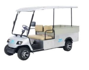 2 Seater White Electric Cargo Car
