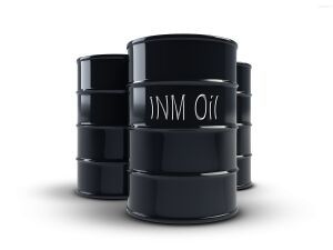 Base Oil (SN 300)