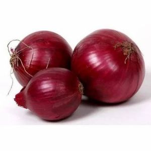 Organic Fresh Red Onion, For Cooking, Onion Size Available : Medium