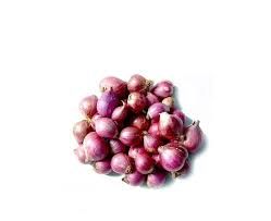 small onion