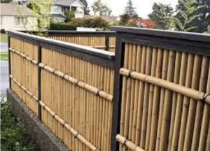 Bamboo Regular Fence