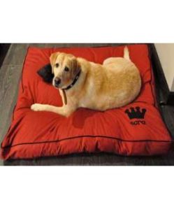 HUFT Personalised Dog Bed-Red