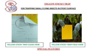 yellow sticky trap
