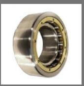 Rotary Bearings