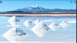 lithium salt