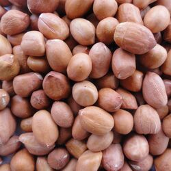 groundnuts