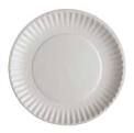 disposable paper plate